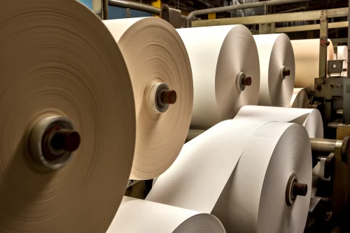 Pulp & Paper
