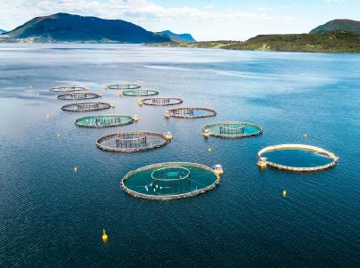 Quibus ita sceleste patratis Paul cruore perfusus reversus quidem amictu